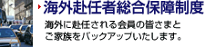 �C�O���C�ґ����ۏᐧ�x