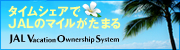 �q���g���^�C���V�F�A ������\������