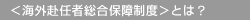 ���C�O���C�ґ����ۏᐧ�x���Ƃ́H