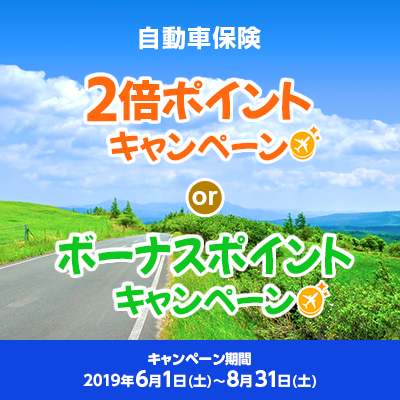 e JALポイントキャンペーン
