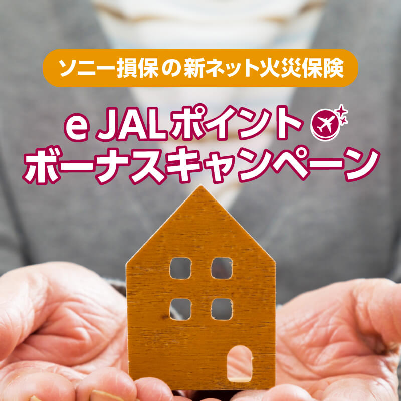 e JALポイントボーナスキャンペーン