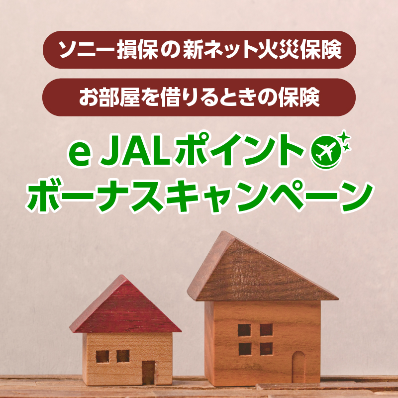 e JALポイントボーナスキャンペーン