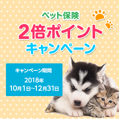 e JALポイントプレゼントキャンペーン