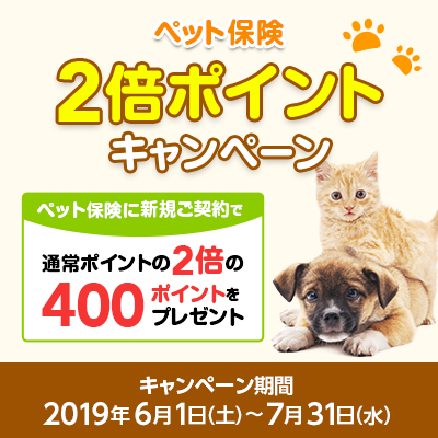e JALポイントプレゼントキャンペーン