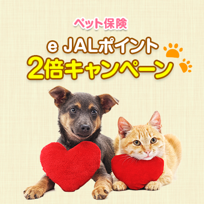 e JALポイントプレゼントキャンペーン