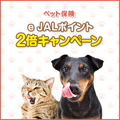 e JALポイントプレゼントキャンペーン