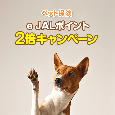 e JALポイントプレゼントキャンペーン