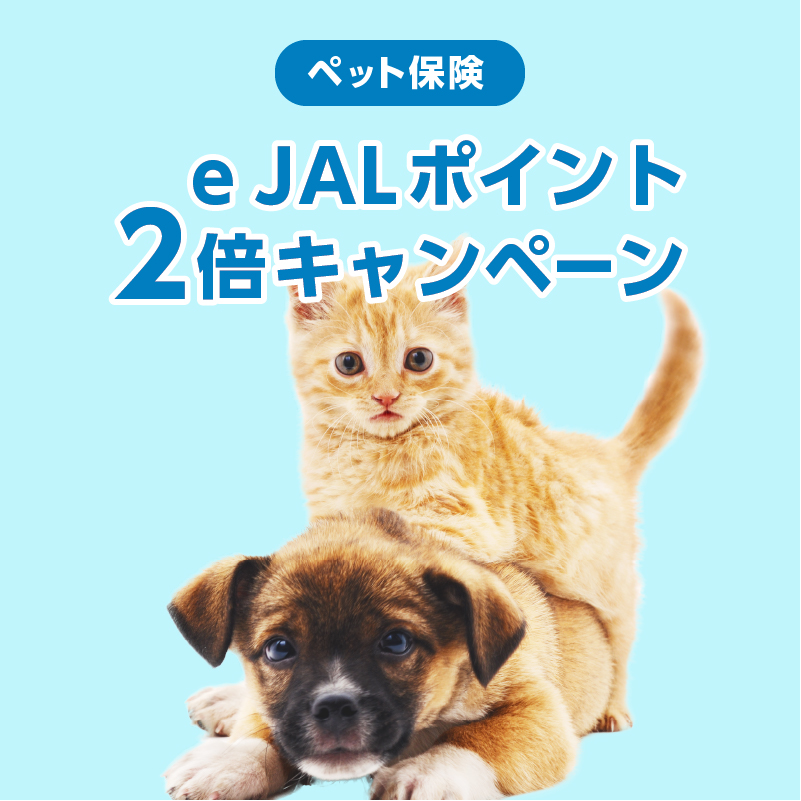 e JALポイントプレゼントキャンペーン