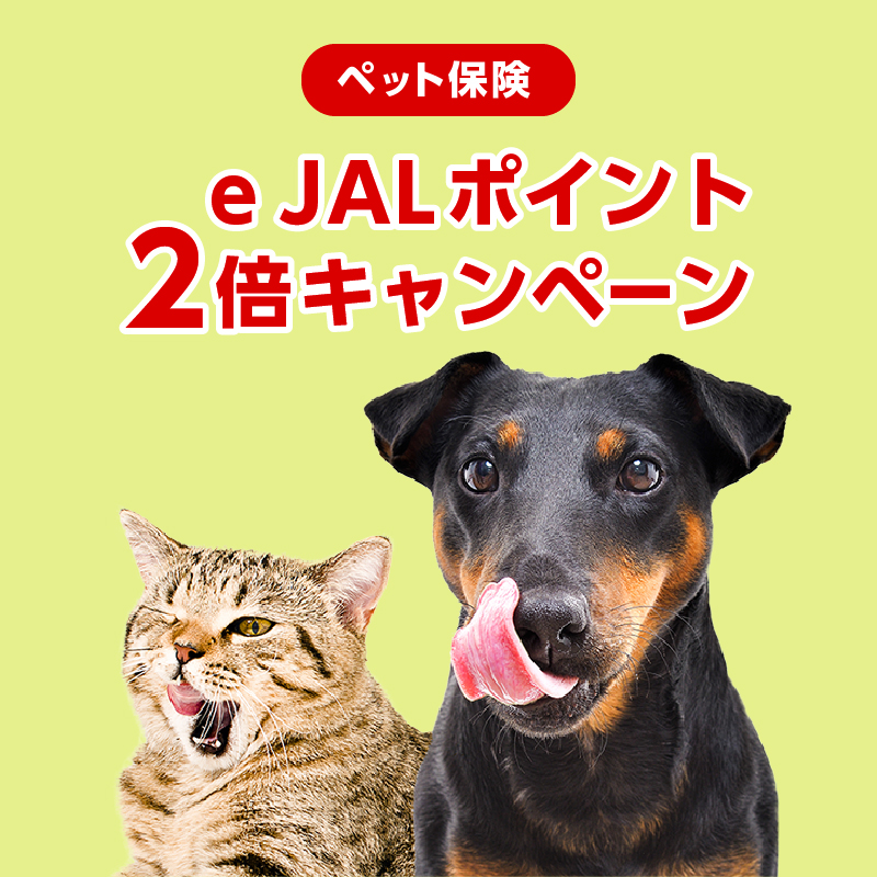 e JALポイントプレゼントキャンペーン