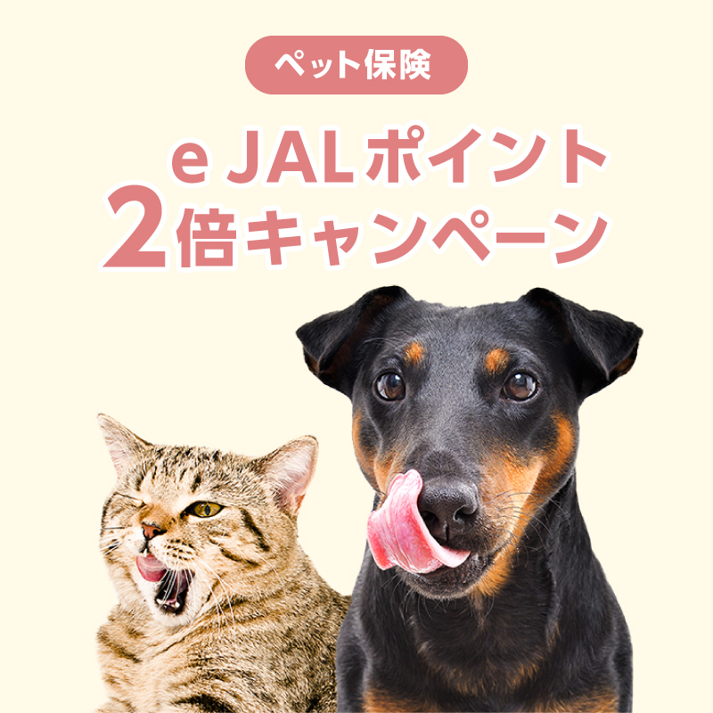 e JALポイントプレゼントキャンペーン