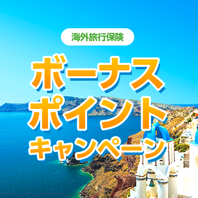 e JALポイントプレゼントキャンペーン
