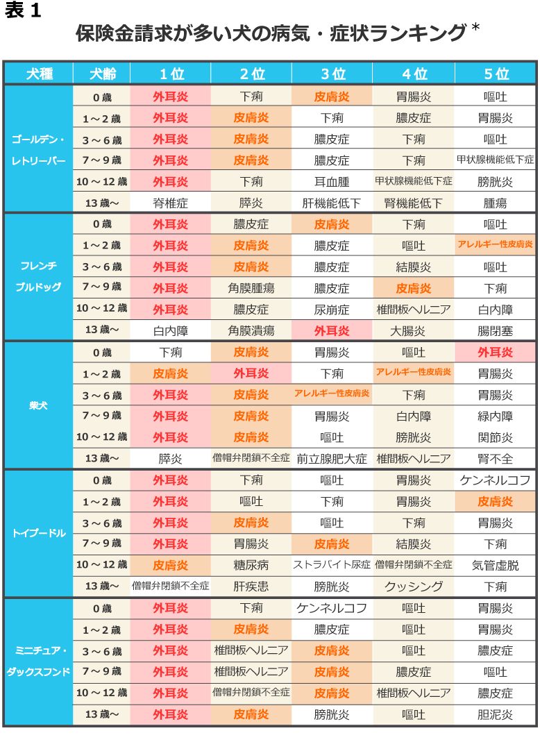 ペット保険の選び方！選び方のポイントや注意点も解説します｜保険 