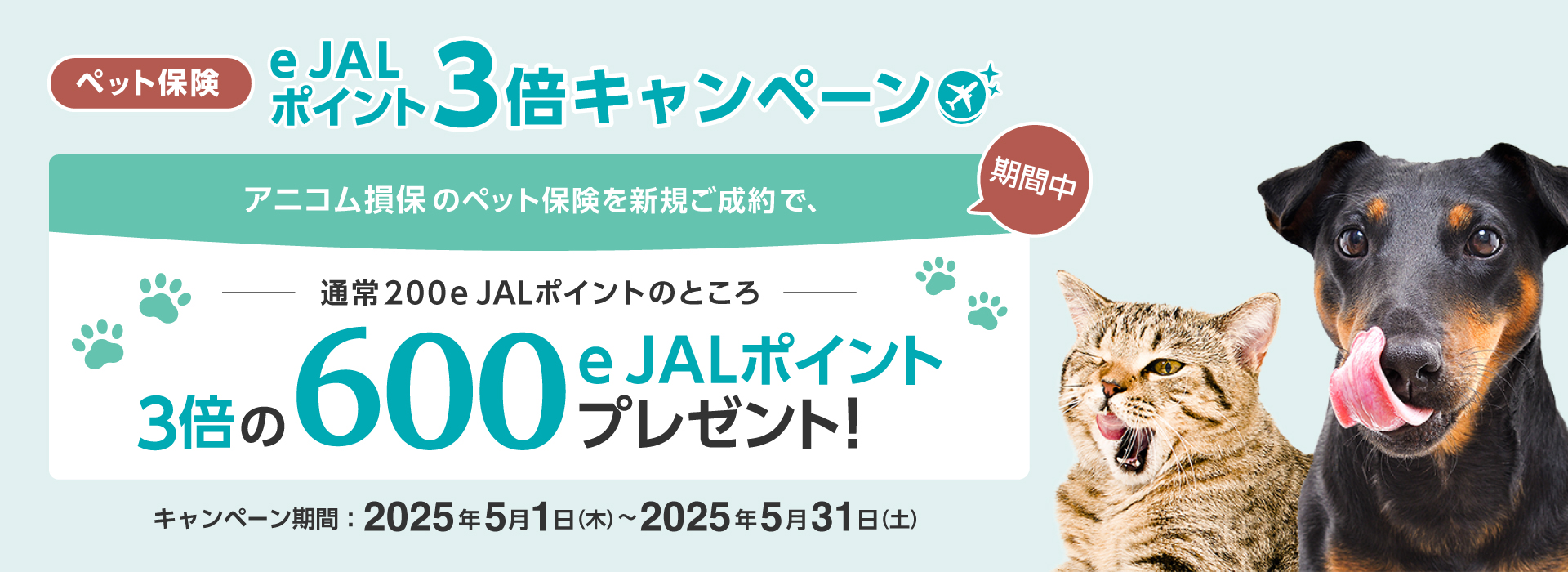 アニコム損保 ペット保険キャンペーン