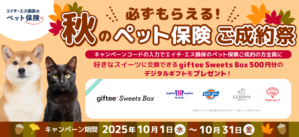 ペット保険キャンペーン