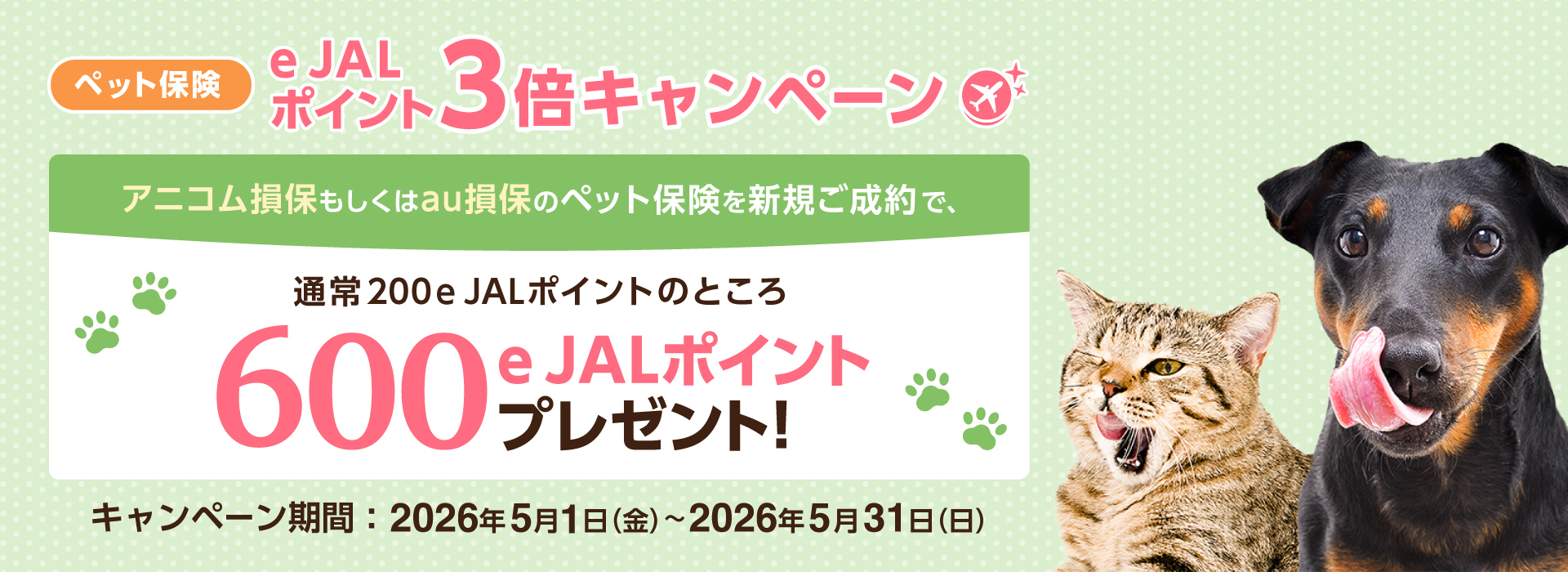 ペット保険キャンペーン