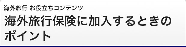 海外旅行保険に加入するときのポイント 海外旅行お役立ちコンテンツ Jal保険ナビ